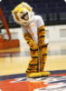 Mascots – Skits - Varsity.com